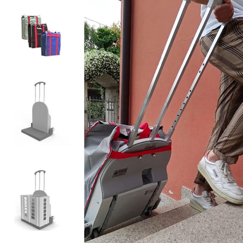 Saliscale elettrico 30 kg